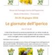 from 24th till 26th/06 - IPERICO DAYS at Moscheta