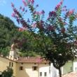 09th/07 - CAMPANA FESTIVAL