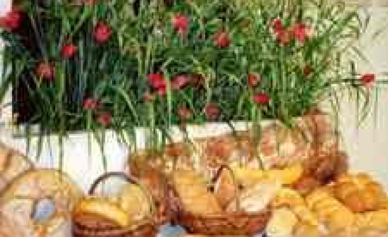 12nd/04 - FESTIVAL OF BREAD