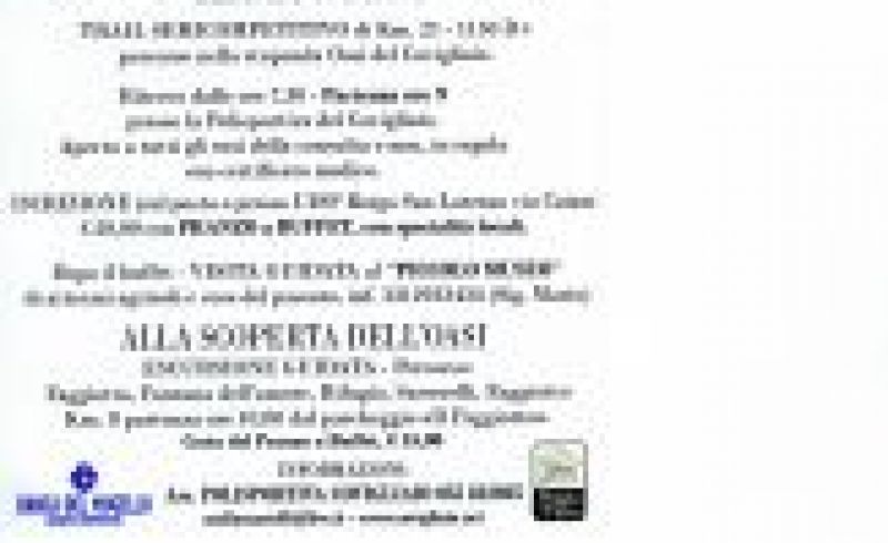 2nd/06 - TRAIL DELLE TRE CIME
