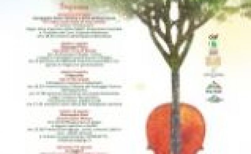 1st,8th,15th,16th and 22nd/08 - WOOD IN MUSIC 2015