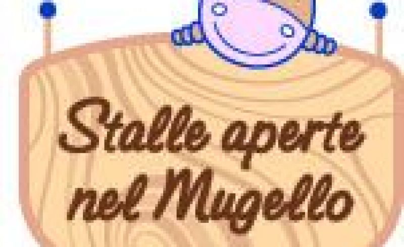 15th/05 - VISITING STABLES IN MUGELLO