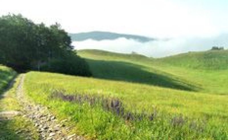 from 3rd to 5th/06  and from 1st to 3rd/07 - La Via degli Dei by mountain bike from Bologna to Florence