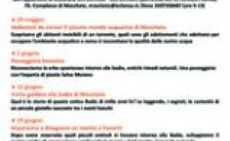 19/06 - IMPARIAMO A DISEGNARE UN INSETTO A FUMETTI - Estate a Moscheta