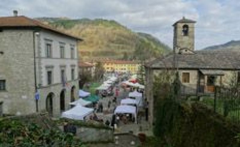 6th and 7th/08 - TRADITIONAL TRADE FAIR