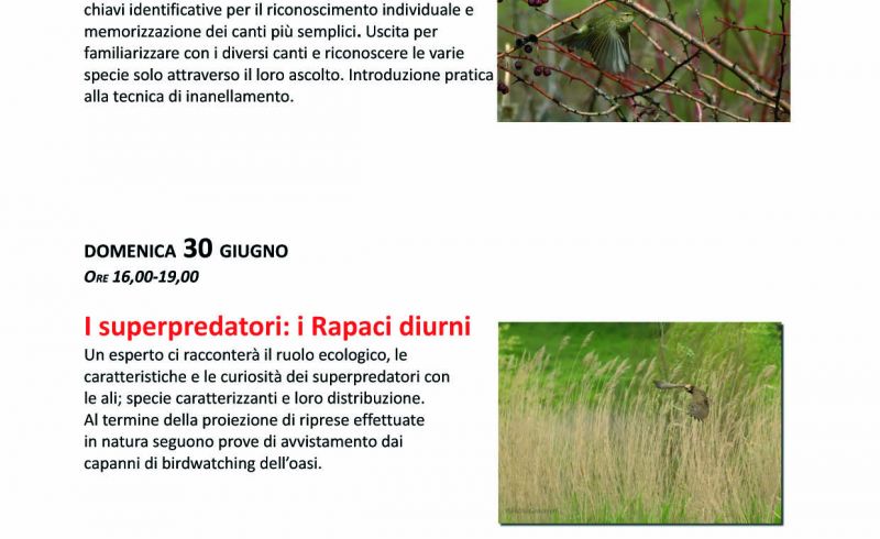 GABBIANELLO OASIS - GUIDED VISITS AND EXCURSIONS