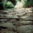 dal 22/03 al 28/09 - Visite ai siti archologici della strada romana FLAMINIA MILITARE