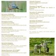 EXCURSIONS IN MUGELLO FOR CHILDREN BY GEV VICCHIO