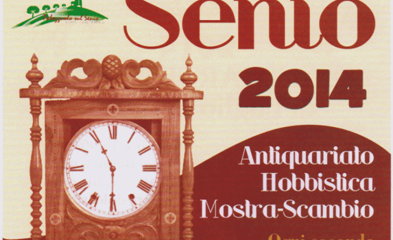14th/09 - HOBBY SENIO ANTIQUES AND CRAFT MARKET 