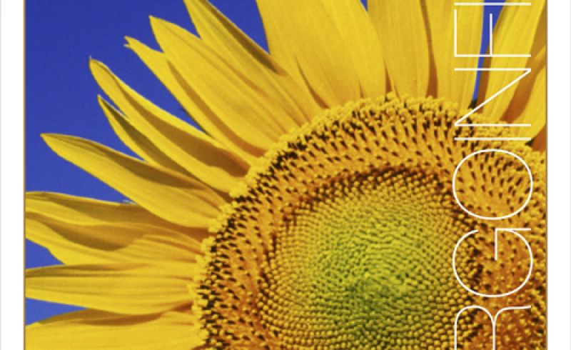 from May 12th to 15th - BORGO IN FIERA