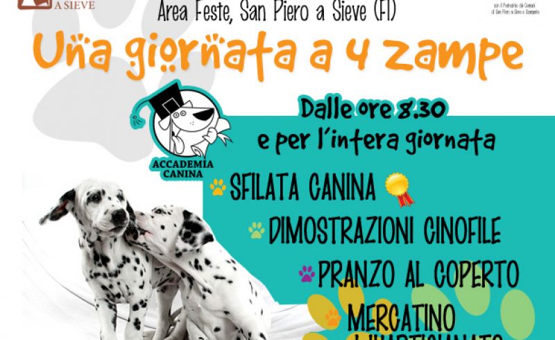 8/06 - UNA GIORNATA A 4 ZAMPE