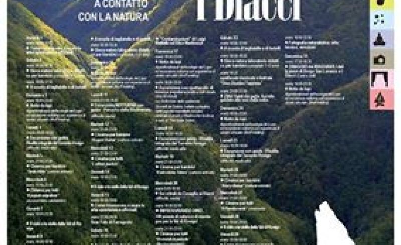 from 1st to 31st/08 - August at I DIacci Hut