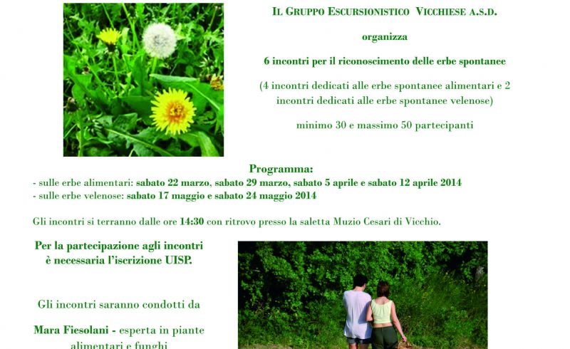 22nd-29th/03 and 5th- 12th/04; 17th/05 and 24th/05 SEARCHING FOR THE NATURAL HERBS