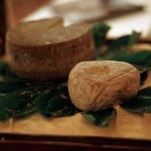 Caprino cheese
