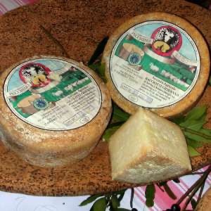 Pecorino cheese