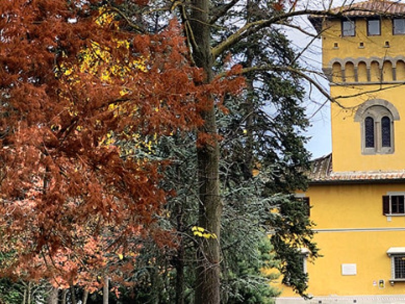 villa pecori