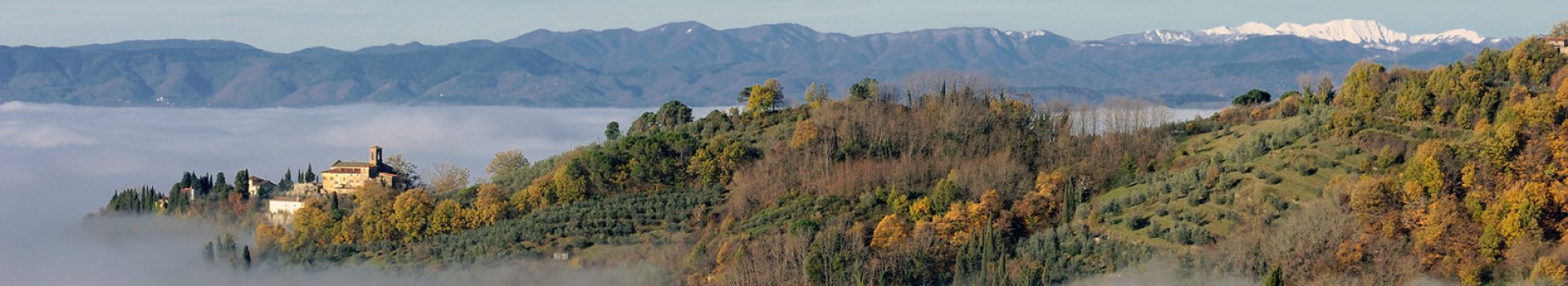 nebbia08