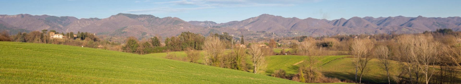 Andrea_Diani_Natura02