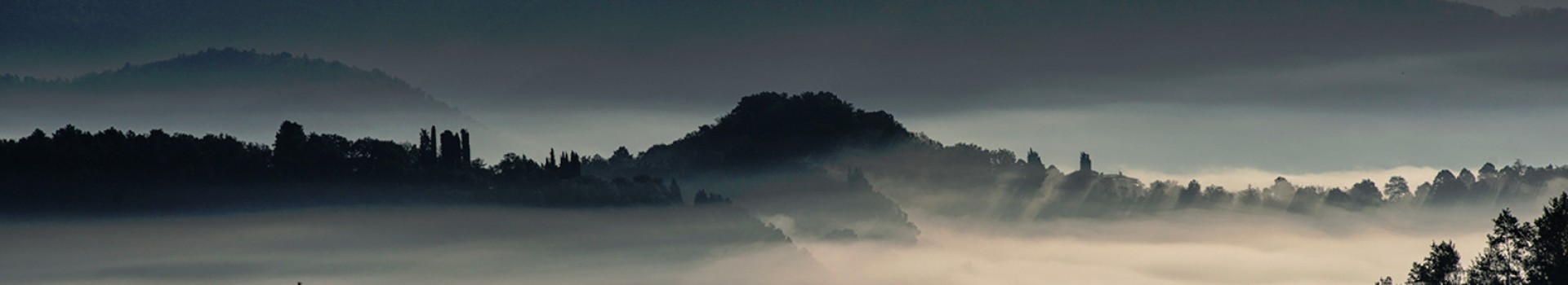 gianfranco_guazzi_natura01