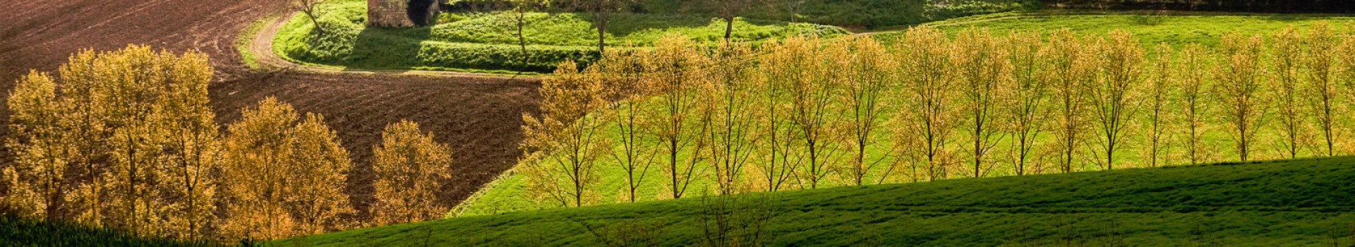 Stefano_Aramini_home08