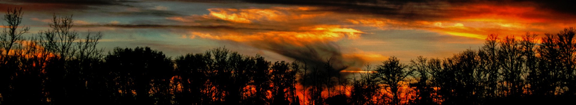 Stefano_Aramini_natura02