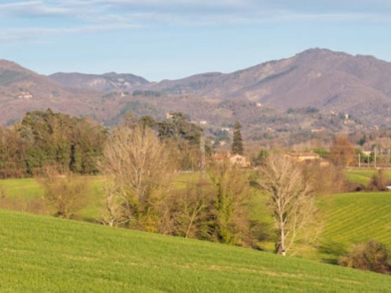 Andrea_Diani_Natura02