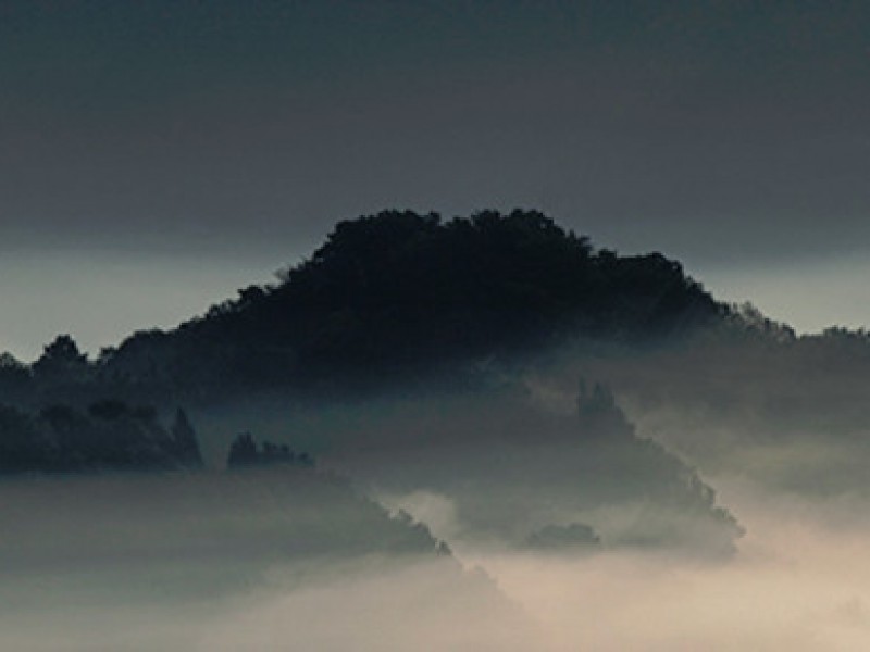 gianfranco_guazzi_natura01