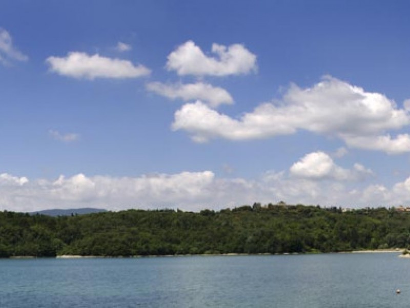 Silvia_Trifilio_natura01