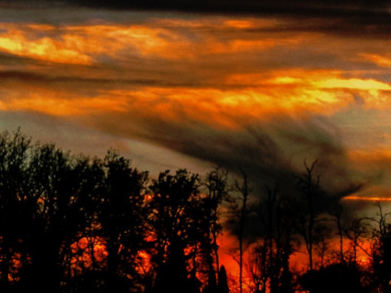 Stefano_Aramini_natura02