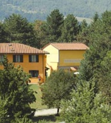 e056d7eb0207133152e5db4f852b0a27montelleri
