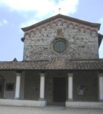 Bosco ai frati0010